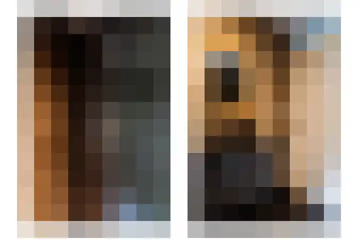 Friese Steen 17 Wijk bij Duurstede thumbnail 25
