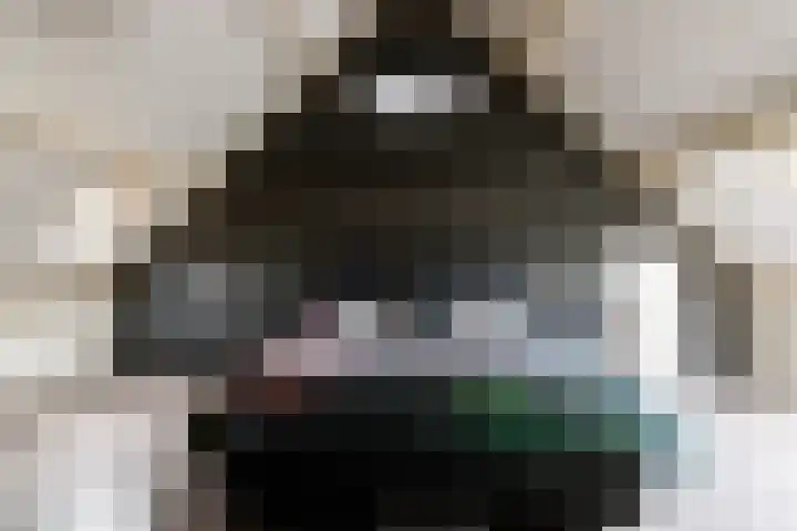 Friese Steen 17 Wijk bij Duurstede thumbnail 26