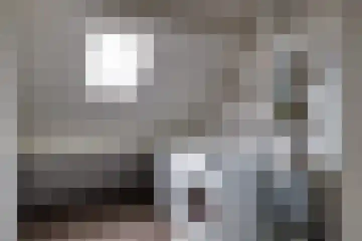 Friese Steen 17 Wijk bij Duurstede thumbnail 27