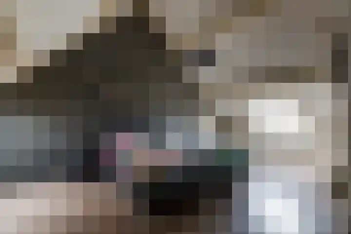Friese Steen 17 Wijk bij Duurstede thumbnail 28