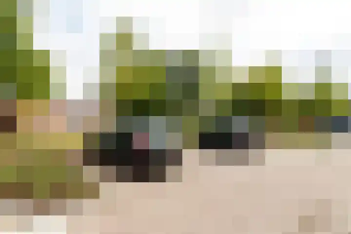Friese Steen 17 Wijk bij Duurstede thumbnail 30