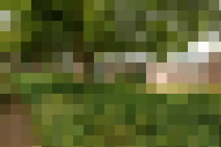 Friese Steen 17 Wijk bij Duurstede thumbnail 4
