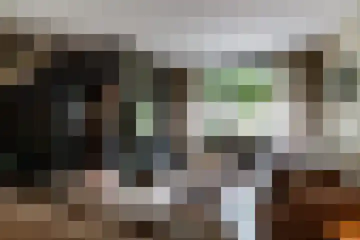 Friese Steen 17 Wijk bij Duurstede thumbnail 6
