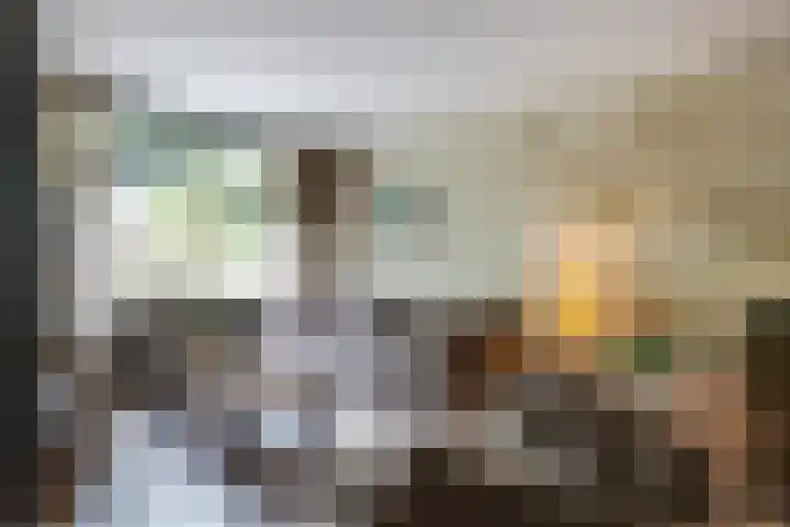 Friese Steen 17 Wijk bij Duurstede thumbnail 7
