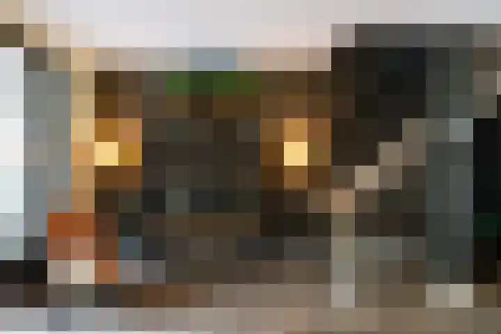 Friese Steen 17 Wijk bij Duurstede thumbnail 8