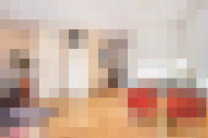 Friese Steen 22 Wijk bij Duurstede thumbnail 10