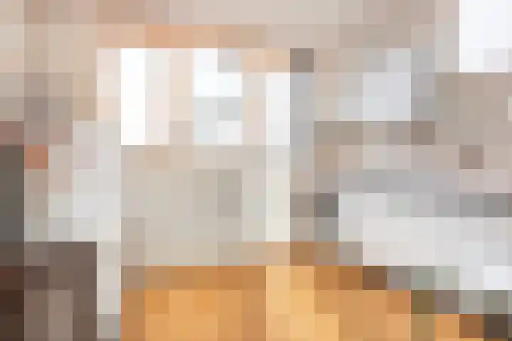 Friese Steen 22 Wijk bij Duurstede thumbnail 12