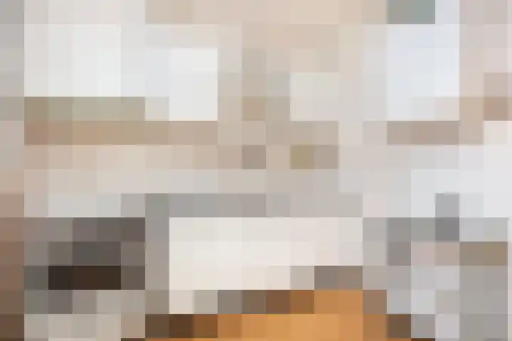 Friese Steen 22 Wijk bij Duurstede thumbnail 14