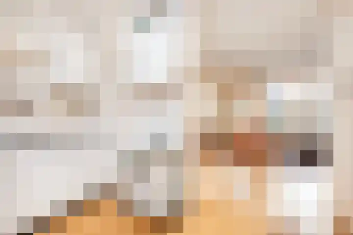 Friese Steen 22 Wijk bij Duurstede thumbnail 15
