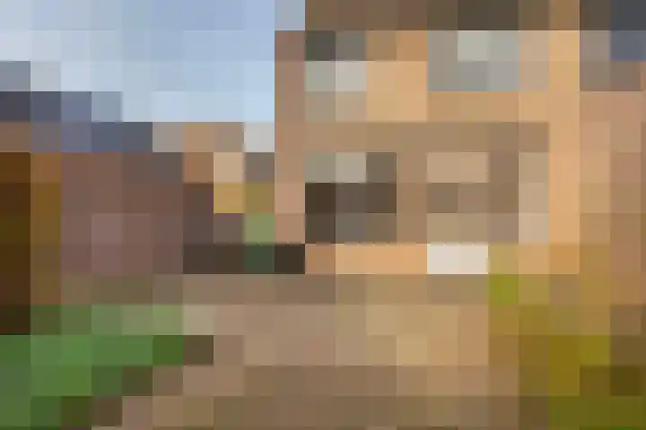 Friese Steen 22 Wijk bij Duurstede thumbnail 16