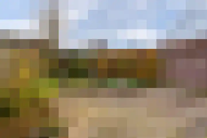Friese Steen 22 Wijk bij Duurstede thumbnail 17