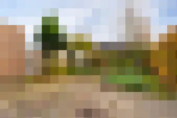 Friese Steen 22 Wijk bij Duurstede thumbnail 18