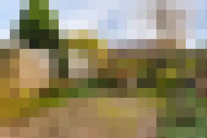 Friese Steen 22 Wijk bij Duurstede thumbnail 19