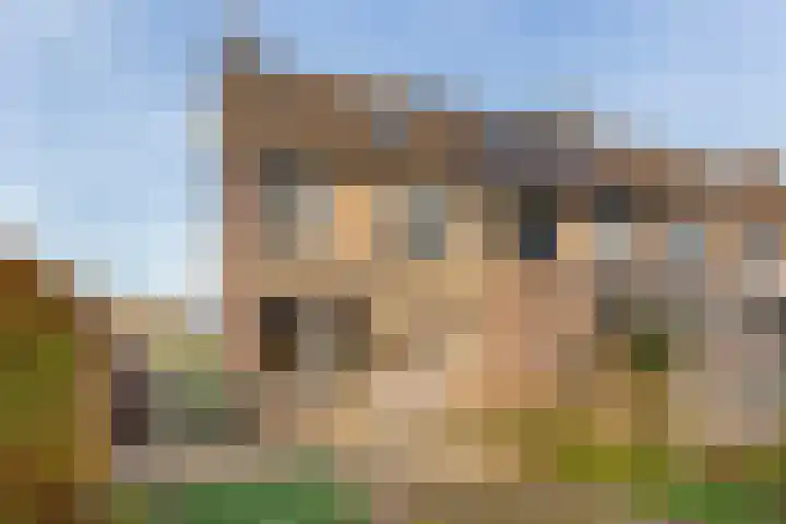 Friese Steen 22 Wijk bij Duurstede foto 2