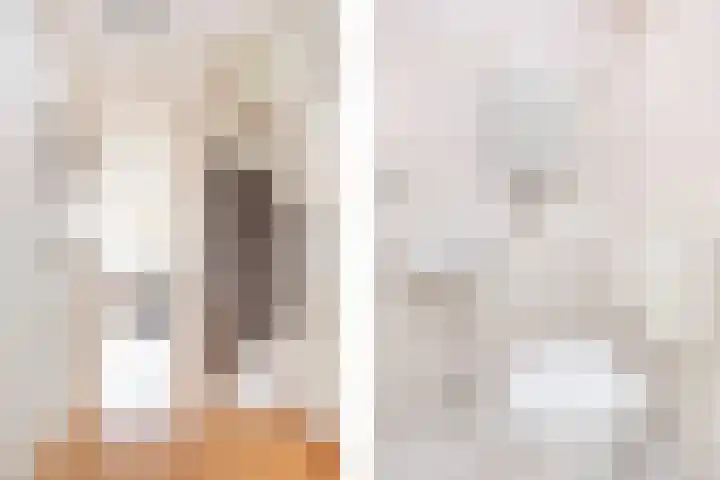 Friese Steen 22 Wijk bij Duurstede thumbnail 20