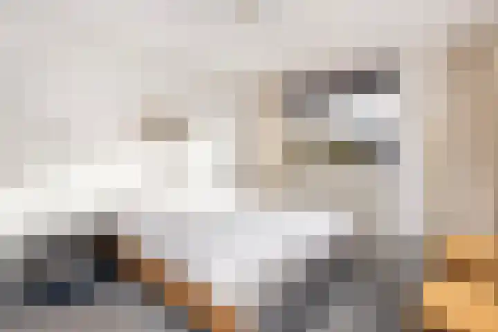 Friese Steen 22 Wijk bij Duurstede thumbnail 22
