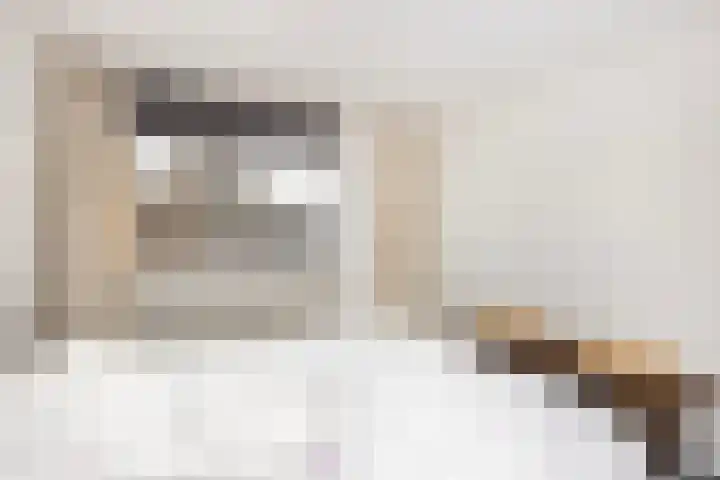 Friese Steen 22 Wijk bij Duurstede thumbnail 23