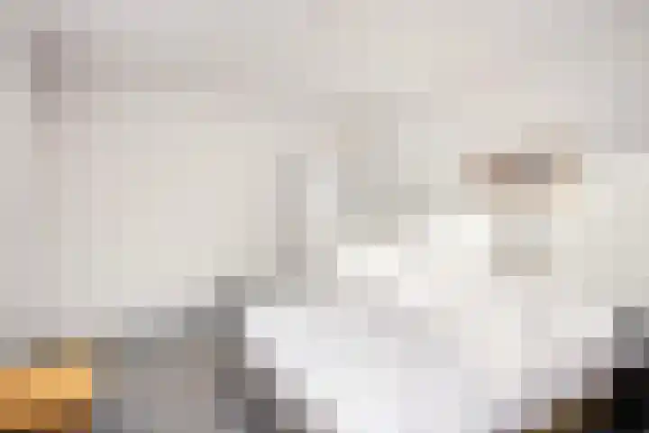 Friese Steen 22 Wijk bij Duurstede thumbnail 24