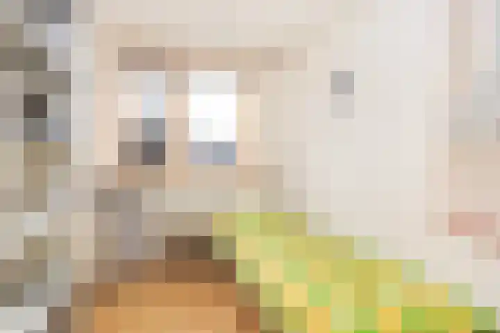 Friese Steen 22 Wijk bij Duurstede thumbnail 27