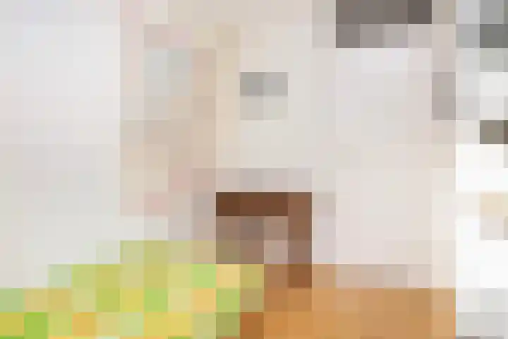 Friese Steen 22 Wijk bij Duurstede thumbnail 28