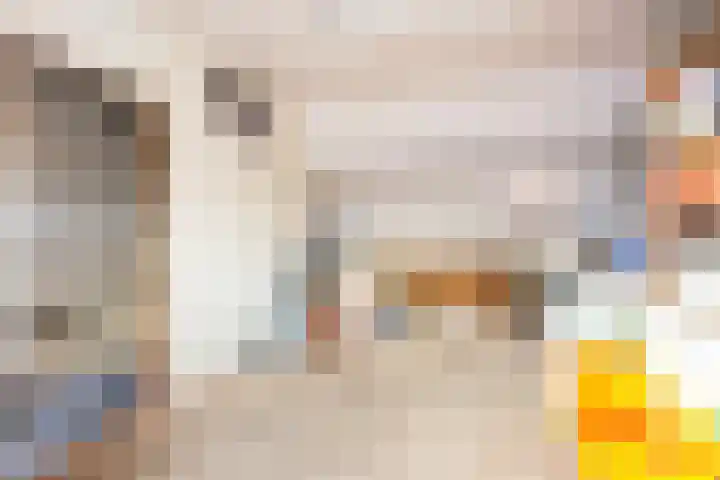 Friese Steen 22 Wijk bij Duurstede thumbnail 31
