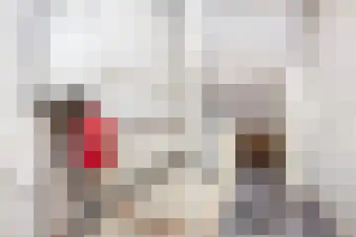 Friese Steen 22 Wijk bij Duurstede thumbnail 33