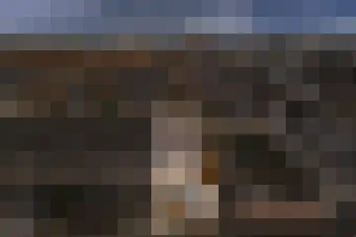 Friese Steen 22 Wijk bij Duurstede thumbnail 35