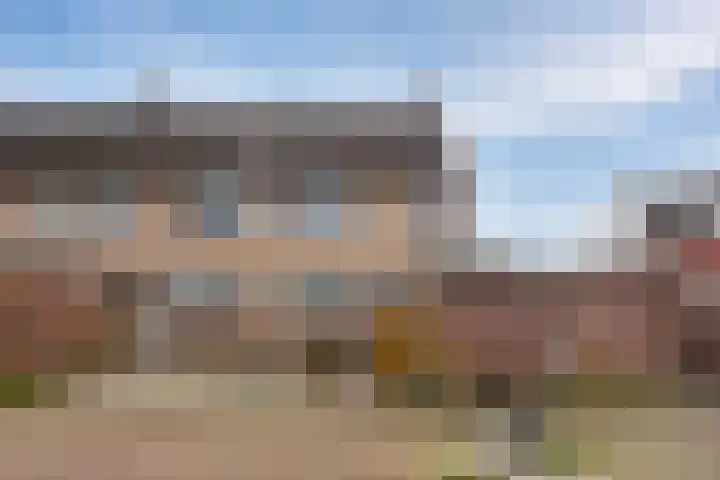 Friese Steen 22 Wijk bij Duurstede thumbnail 36