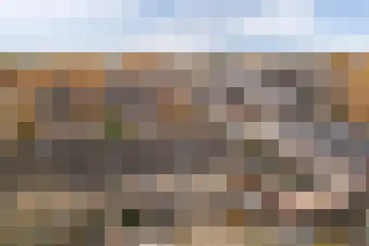 Friese Steen 22 Wijk bij Duurstede thumbnail 39