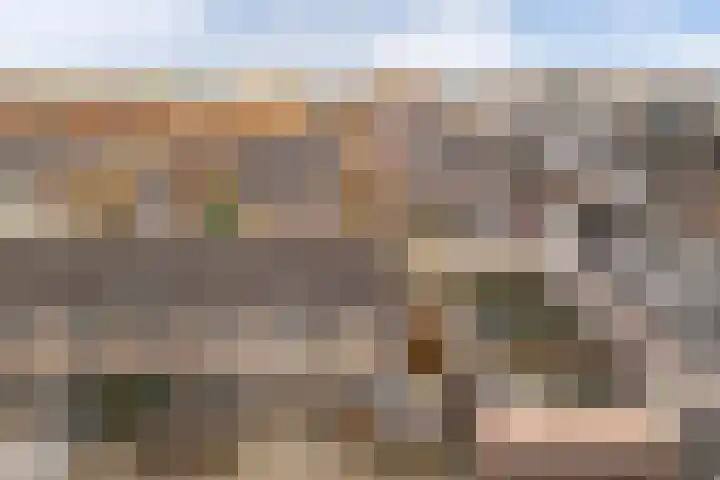 Friese Steen 22 Wijk bij Duurstede thumbnail 40