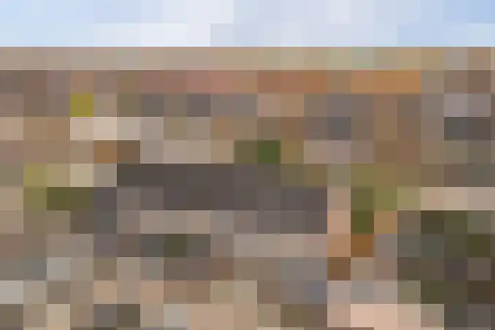 Friese Steen 22 Wijk bij Duurstede thumbnail 41