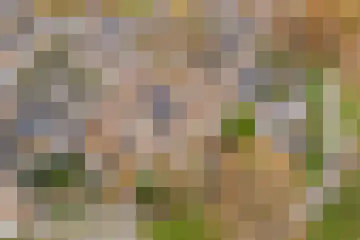 Friese Steen 22 Wijk bij Duurstede thumbnail 42