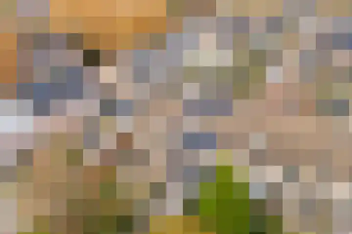 Friese Steen 22 Wijk bij Duurstede thumbnail 43