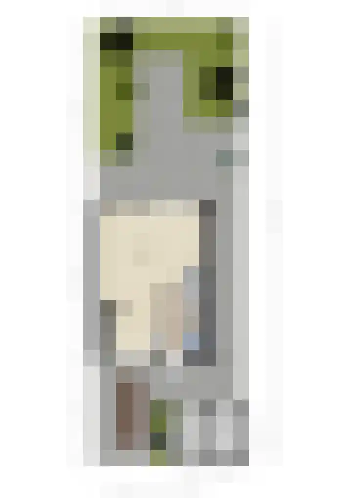 Friese Steen 22 Wijk bij Duurstede thumbnail 47