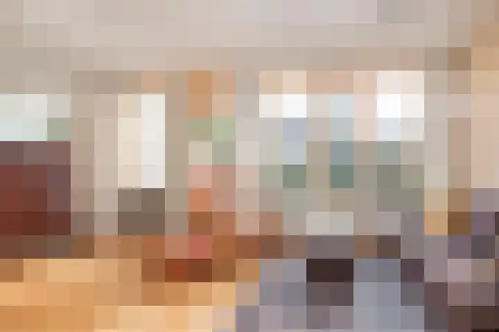 Friese Steen 22 Wijk bij Duurstede thumbnail 5