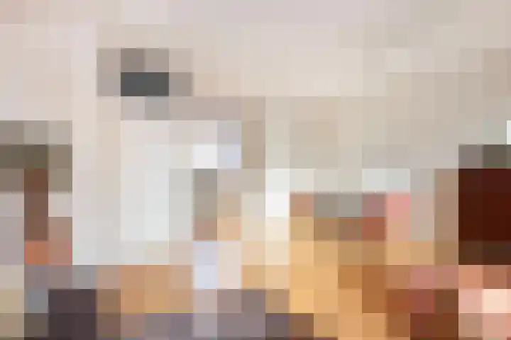 Friese Steen 22 Wijk bij Duurstede thumbnail 8