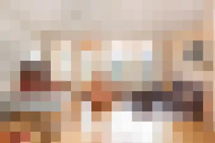 Friese Steen 22 Wijk bij Duurstede thumbnail 9