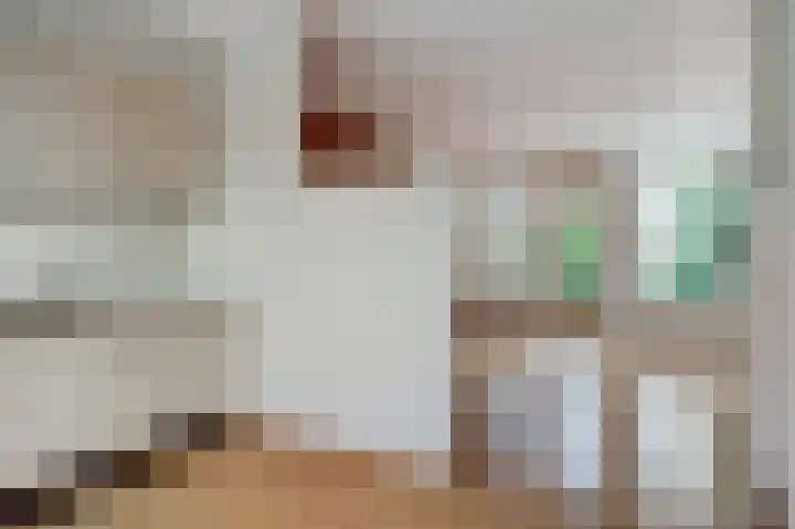 Friese Steen 80 Wijk bij Duurstede thumbnail 11