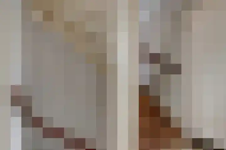 Friese Steen 80 Wijk bij Duurstede thumbnail 14