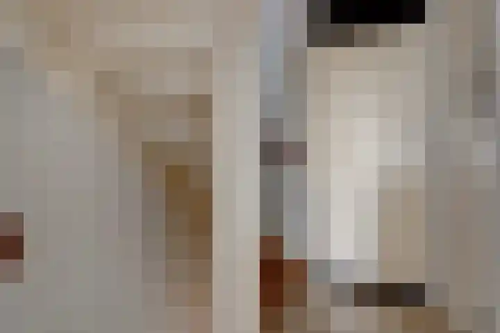 Friese Steen 80 Wijk bij Duurstede thumbnail 15