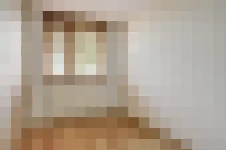 Friese Steen 80 Wijk bij Duurstede thumbnail 21