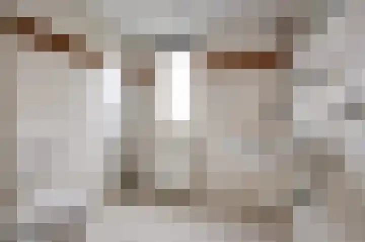 Friese Steen 80 Wijk bij Duurstede thumbnail 23