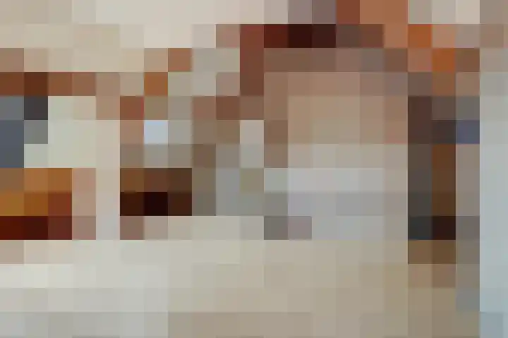 Friese Steen 80 Wijk bij Duurstede thumbnail 25