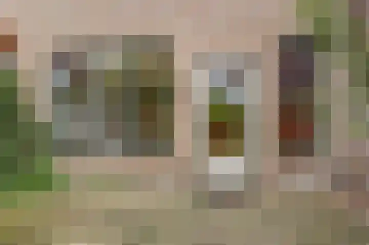Friese Steen 80 Wijk bij Duurstede thumbnail 28
