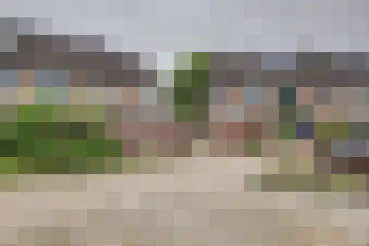 Friese Steen 80 Wijk bij Duurstede foto 3