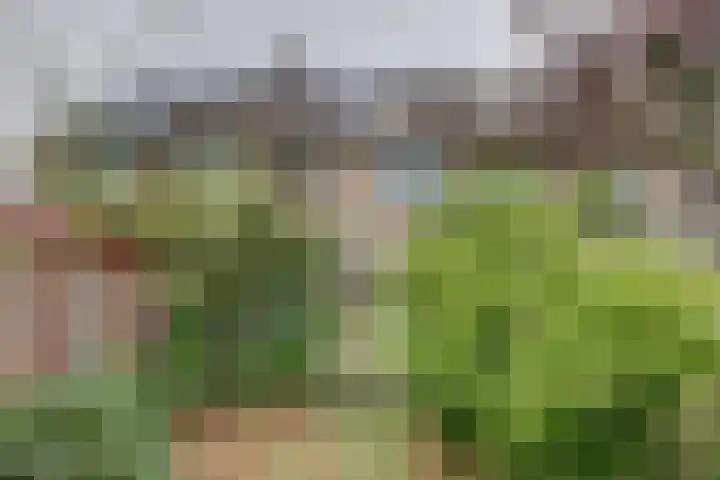 Friese Steen 80 Wijk bij Duurstede thumbnail 30