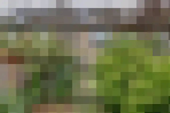 Friese Steen 80 Wijk bij Duurstede thumbnail 31