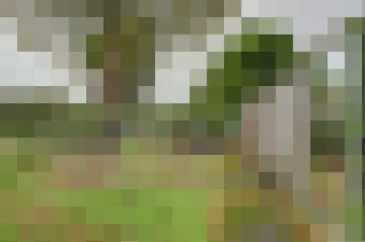 Friese Steen 80 Wijk bij Duurstede thumbnail 32