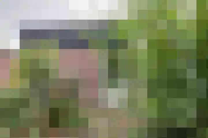 Friese Steen 80 Wijk bij Duurstede thumbnail 33