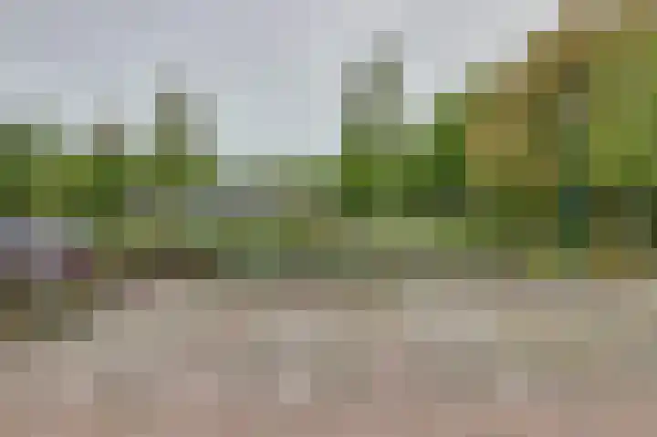 Friese Steen 80 Wijk bij Duurstede thumbnail 34